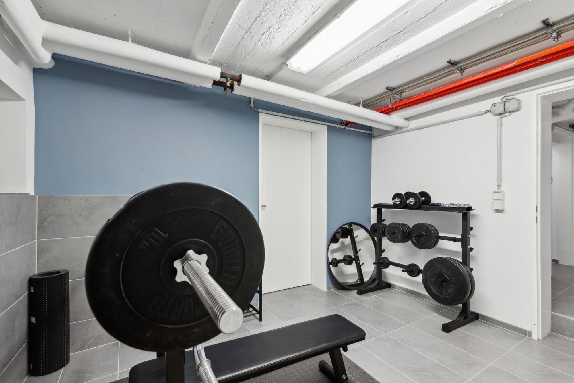 Modern Living - Basf - Ma - Pfalz - 1 Gym 2 Working Spaces Лудвигсхафен ам Рейн Екстериор снимка